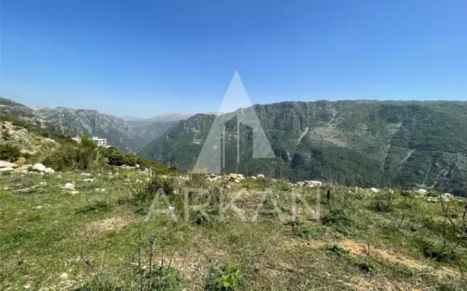 Land for Sale in Ein Jrein | 4,000 sqm – Investment Opportunity