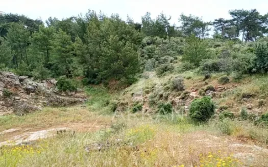 Land for Sale in Batroun | 9,700 sqm