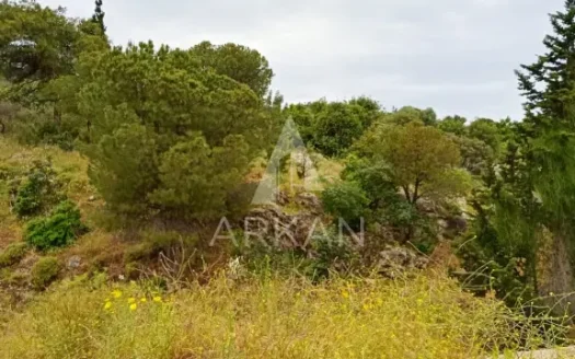 Land for Sale in Batroun | 9,700 sqm